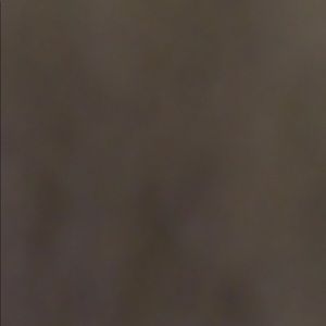 Meet your Posher, Brayden